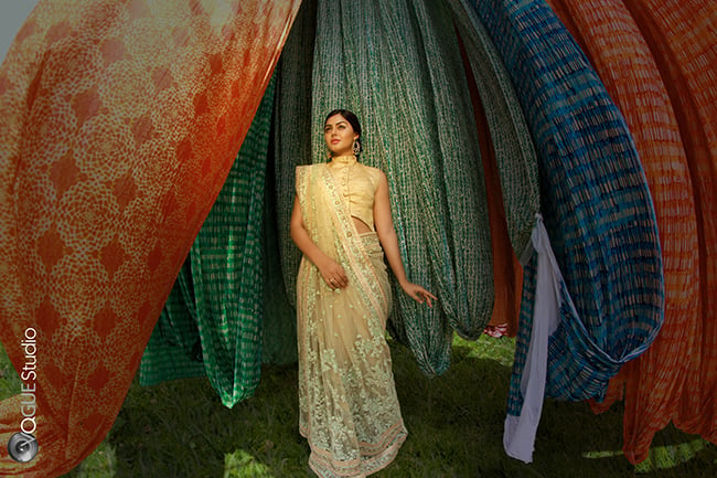 ReWo Star Monal Gajjar - saree.com - vo2