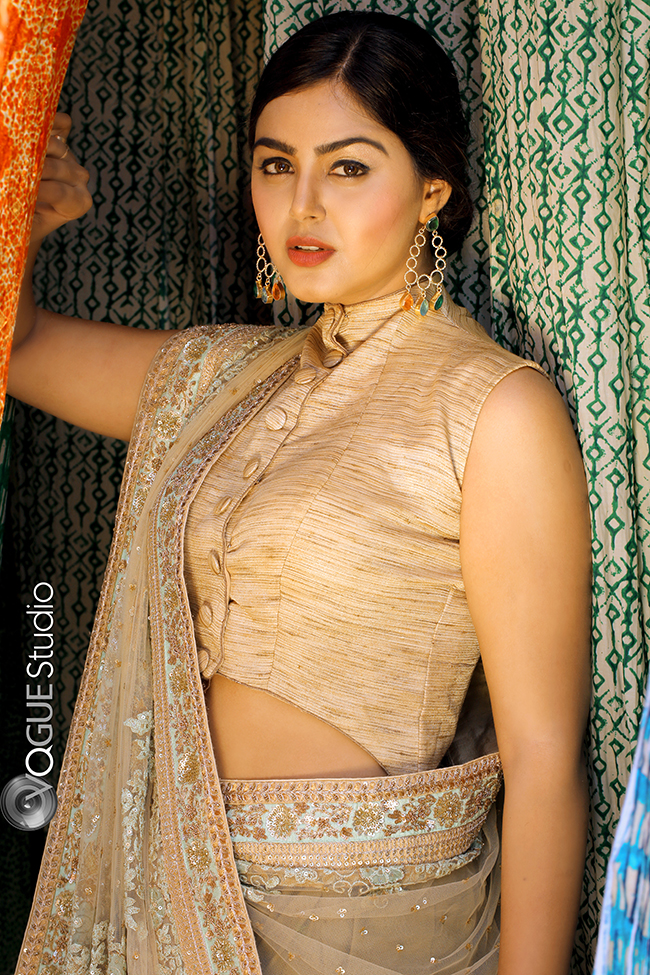 ReWo Star Monal Gajjar - saree.com - vo5