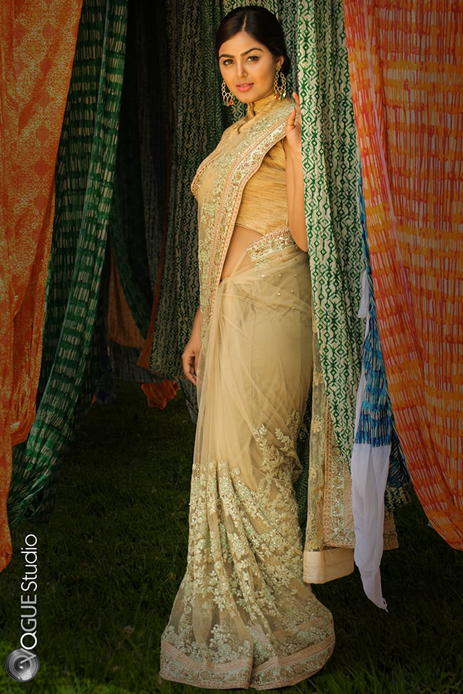 ReWo Star Monal Gajjar - saree.com - vo7
