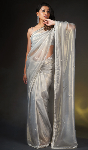 Grey Shimmer Net Saree in Beads Butti with Embellished Border and Golden Highlights
