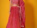 Red and Pink Georgette Flared Sequinned Lehenga - ccdj2253