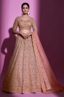 Nude Brown Georgette All Over Floral Embroidered Lehenga