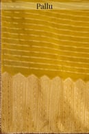 Yellow Tissue Silk Woven Saree