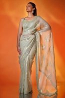 Light Green Organza Saree with Bead Worked Border
